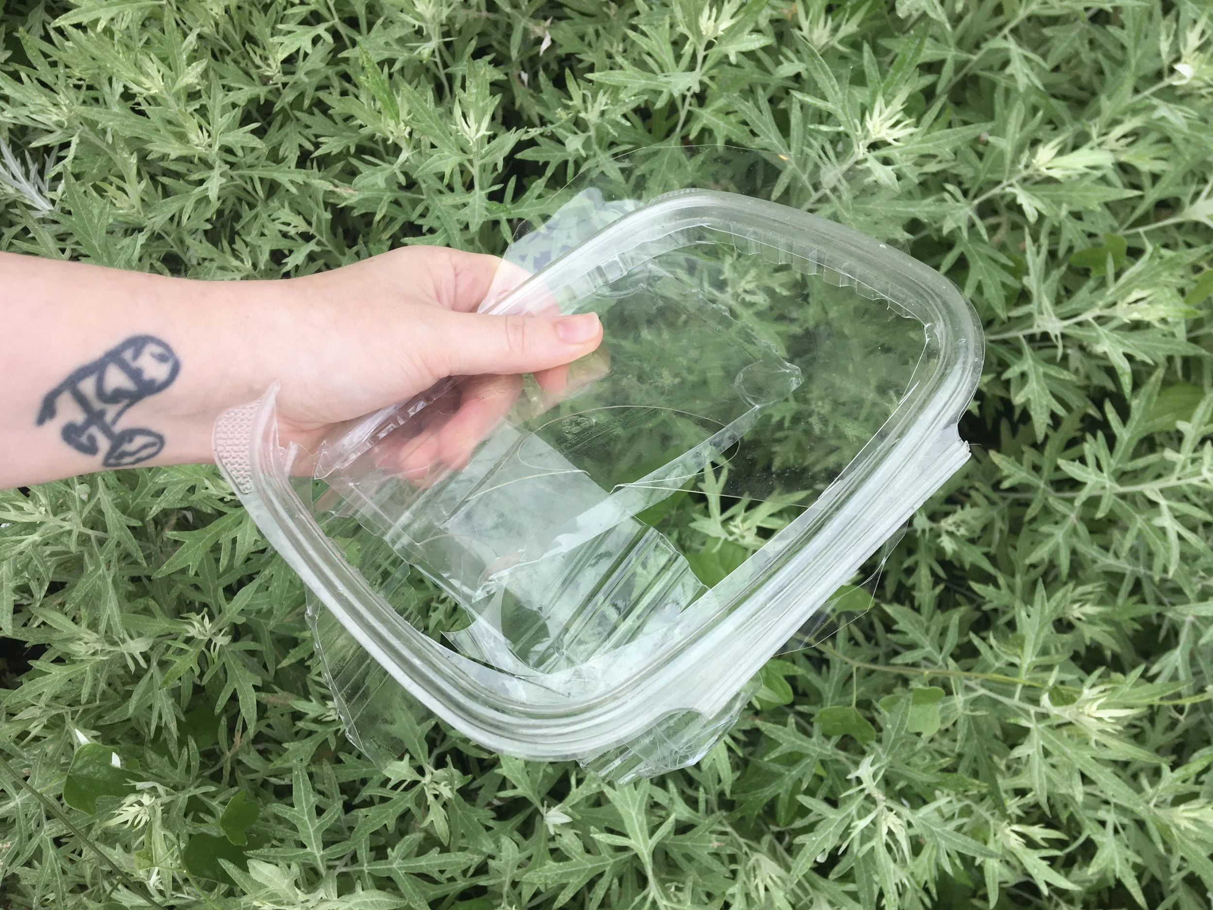 the rims and wavy parts of a plastic take out container. 