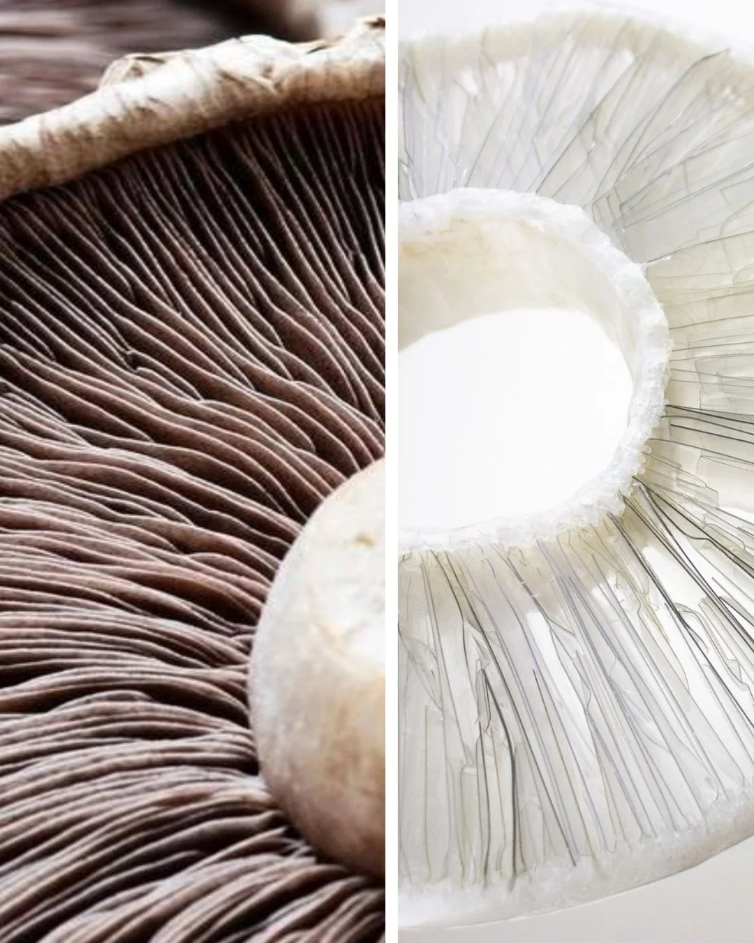 mushroombracelet inspo.jpg