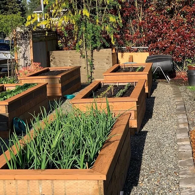 Investment strategy. April starts, summer and fall harvests. Meantime reconnecting to cycles deeply rooted in the soul.