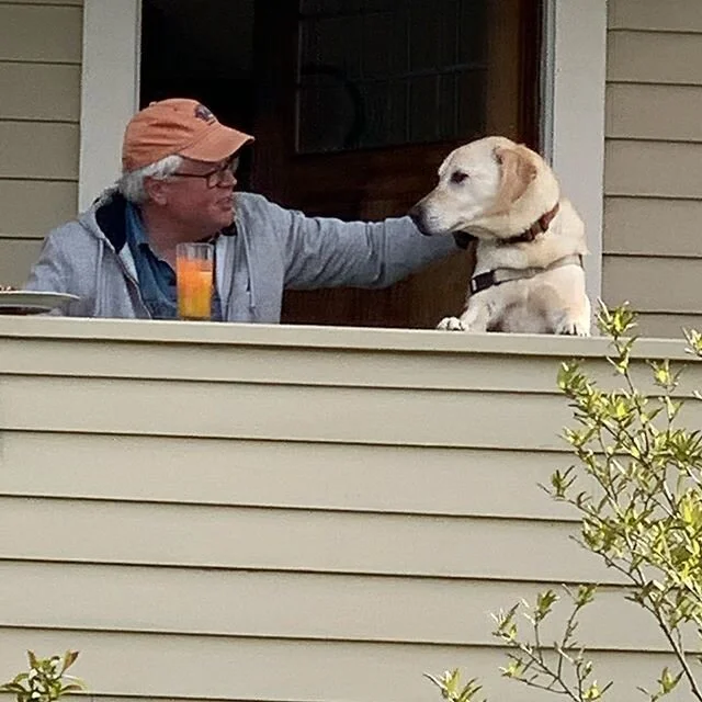 Sheltering in the Covid 19 storm. Better with a friend! #lunchonthelanai