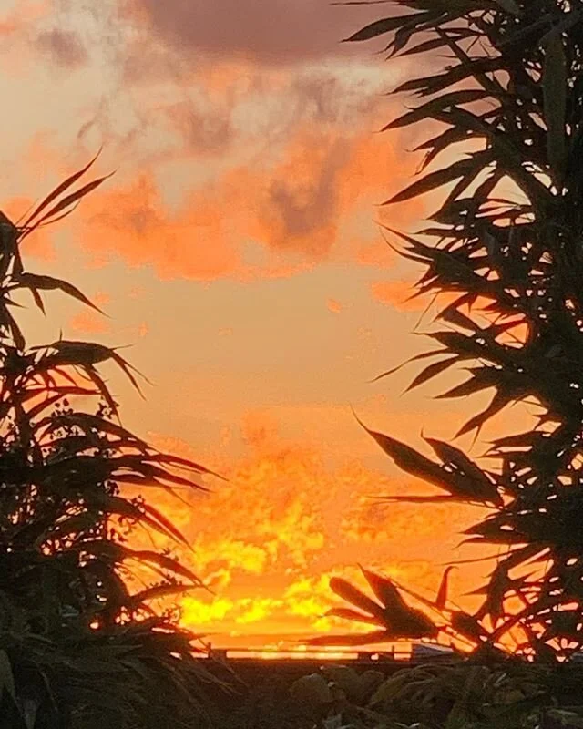 At day&rsquo;s end I notice I&rsquo;m wondering/worrying about tomorrow. How to wake up to the beauty that&rsquo;s here right now!
Enastros.com/reflections