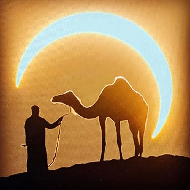 Ring-of-fire eclipse of Sun (Surya Grahan) will be seen over northern India at their noon on June 21. Rahu solar eclipse in Gemini. Harbinger of transformation.
#vedicastrology #light #transformation #eclipse 
Enastros.com/reflections