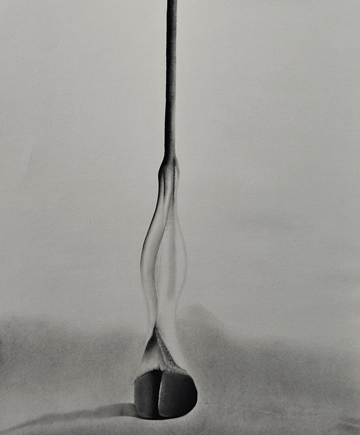 20250227_180210.jpg