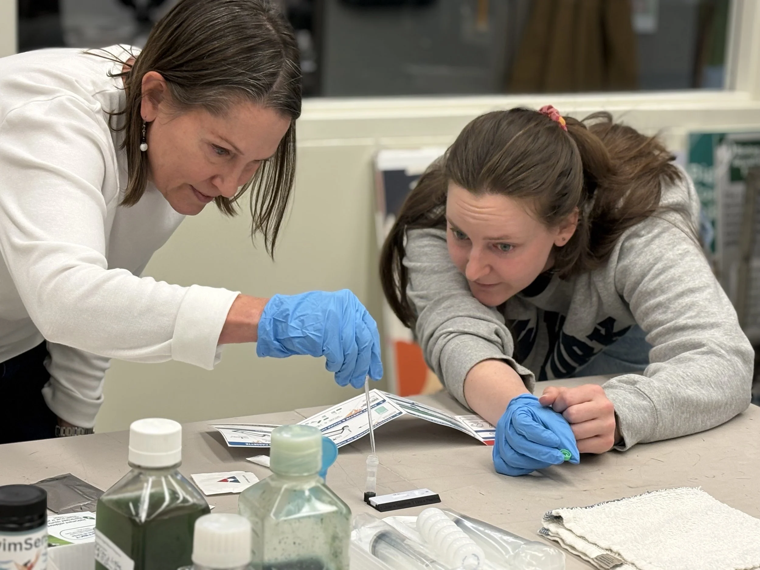 Detekt Labs blue-green algae toxin field test