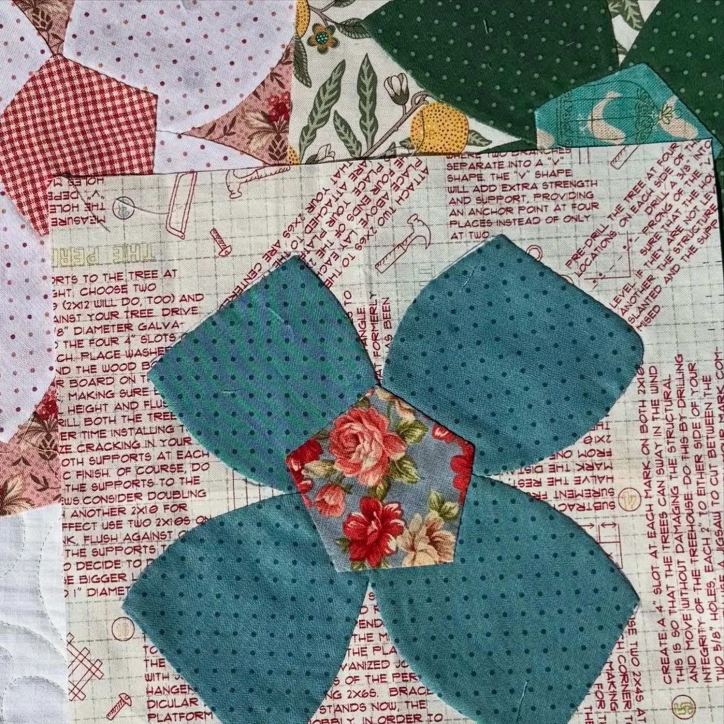 Newsletter out today - link in our profile