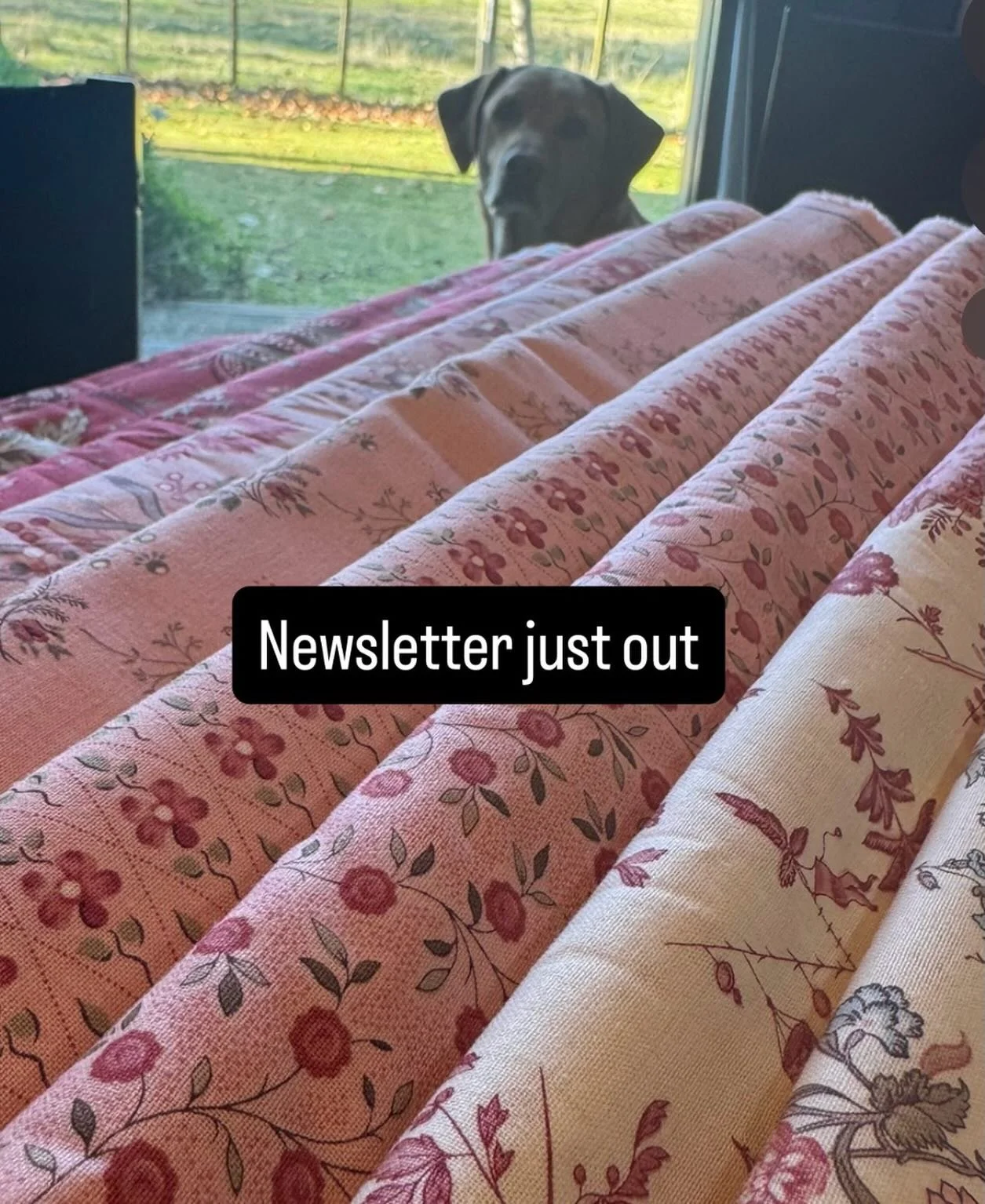 I&rsquo;ve just put up our Newsletter - chocka block with treats. Link in our profile #delbrookquiltco