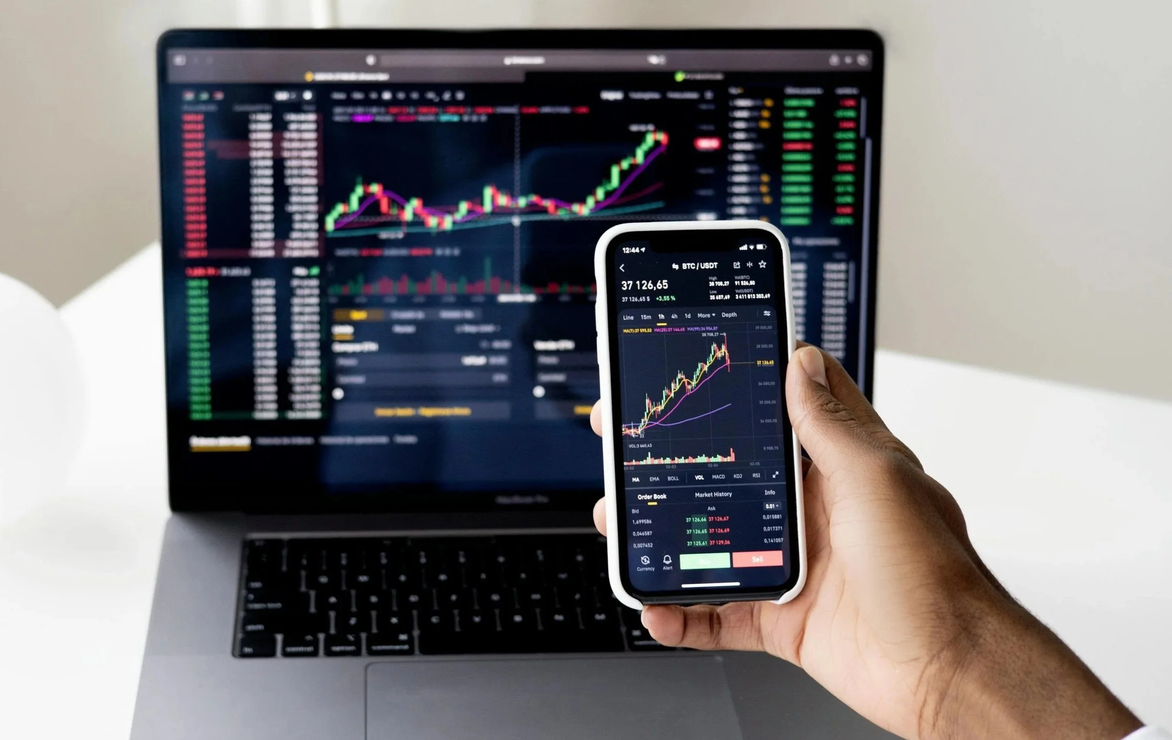 Not All Software Companies Will be Taken Out by Artificial Intelligence