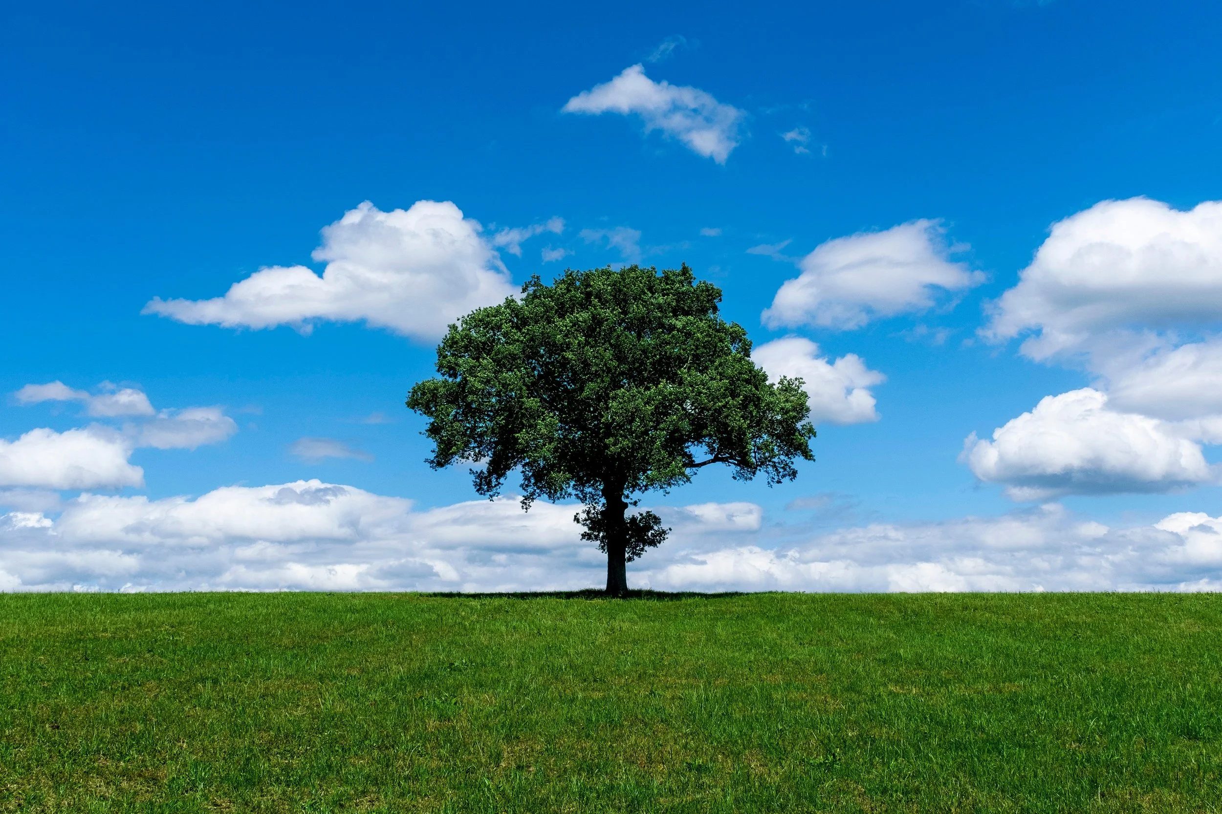 How to Protect a Concentrated Stock Position Without Selling It