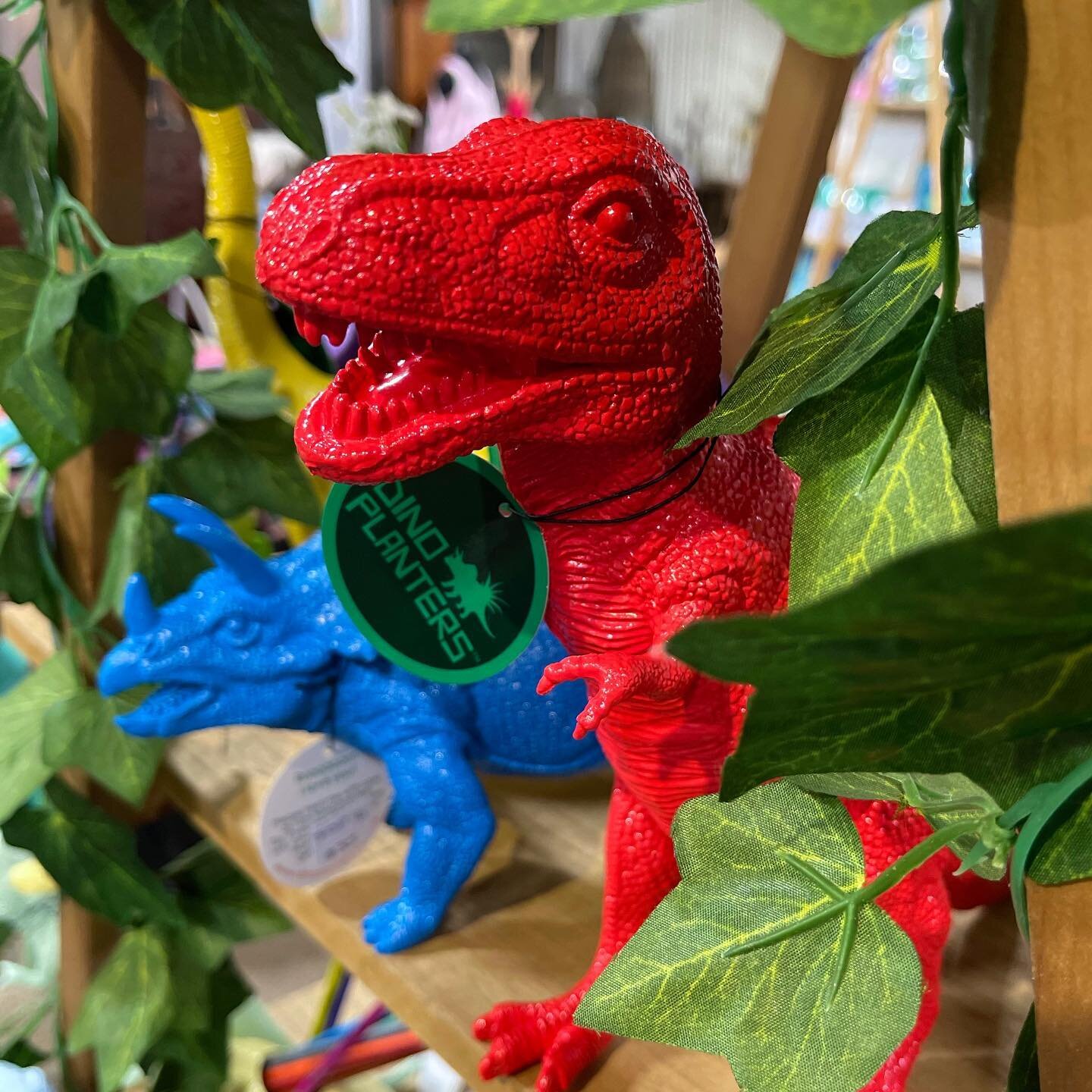 Dinoplanters have been restocked at Anna &amp; Co in Uralla, just in time for the weekend! @anna.andco.homewares 

How cool is the small red T-Rex! 🚒

#dinoplanter #dinoplanters #handpainted #dinosaurplanter #planter #planters #indoorplantsdecor #pl