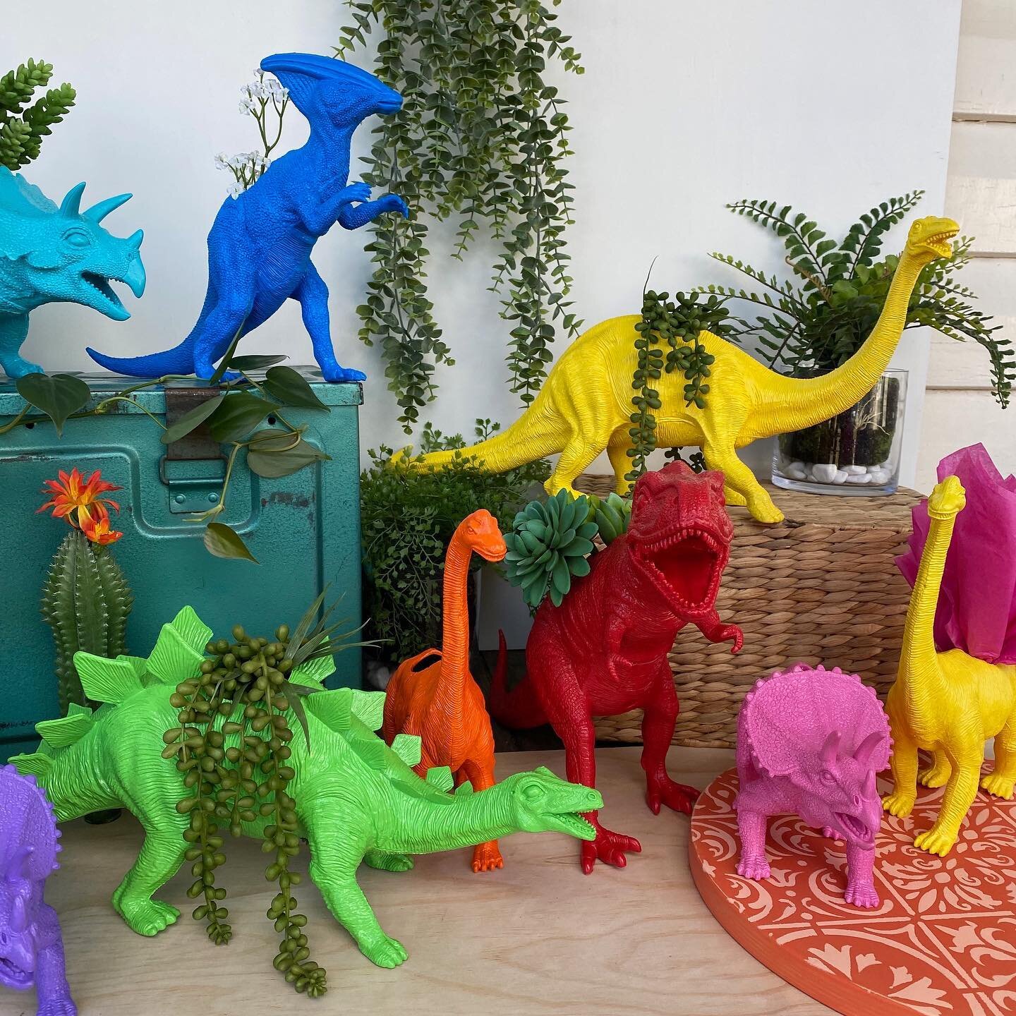There&rsquo;s been a RESTOCK online! 🦕🦖 (link in bio)

Who would have thought the humble dinosaur could be such a fun and quirky accessory in your home or office! The best bit is they are an appropriate gift for all ages, yep adults love them too!
