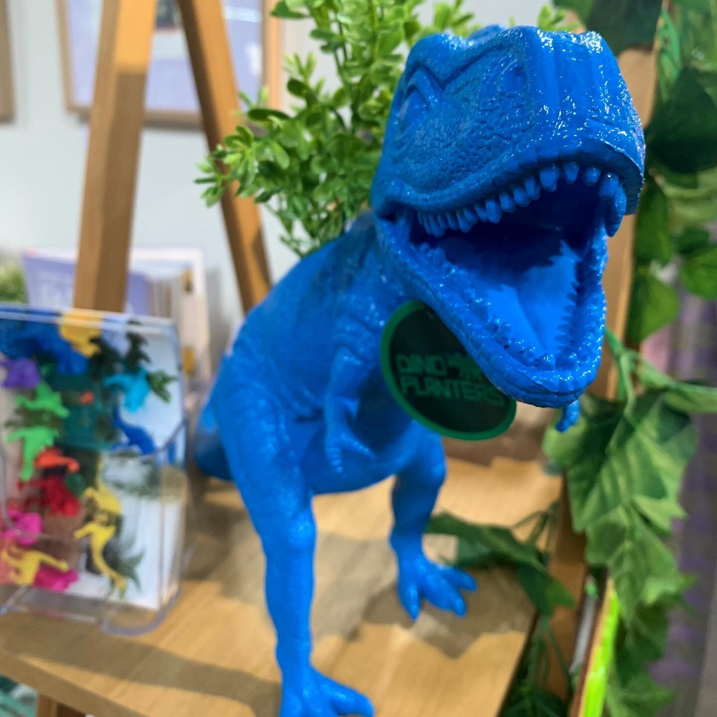 ROARING into the weekend! Hope your Saturday was fabulous.

Available @anna.andco.homewares in the @little_birdy_uralla hangar! 🦖🌟

#dinoplanter #dinoplanters #dinosaur #dinosaurs #dinosaursofinstagram #dinosaursarecool #dinosaurplanter #dinosaurpl