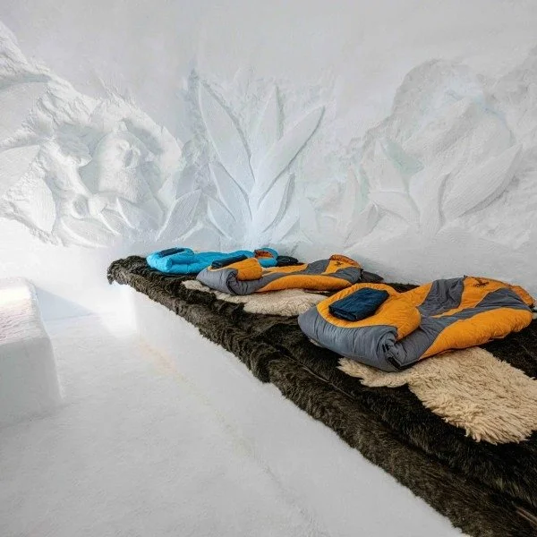 NGO/Artist Scholarship CHF333