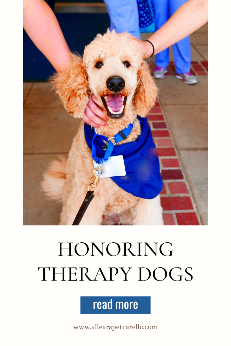Honoring National Therapy Dog Day — All Ears Petcare
