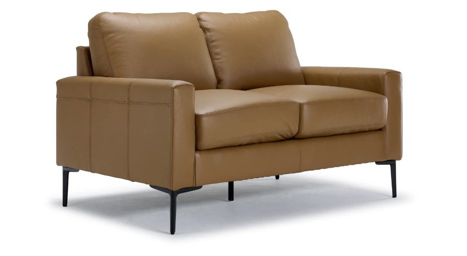 Chito Leather Loveseat