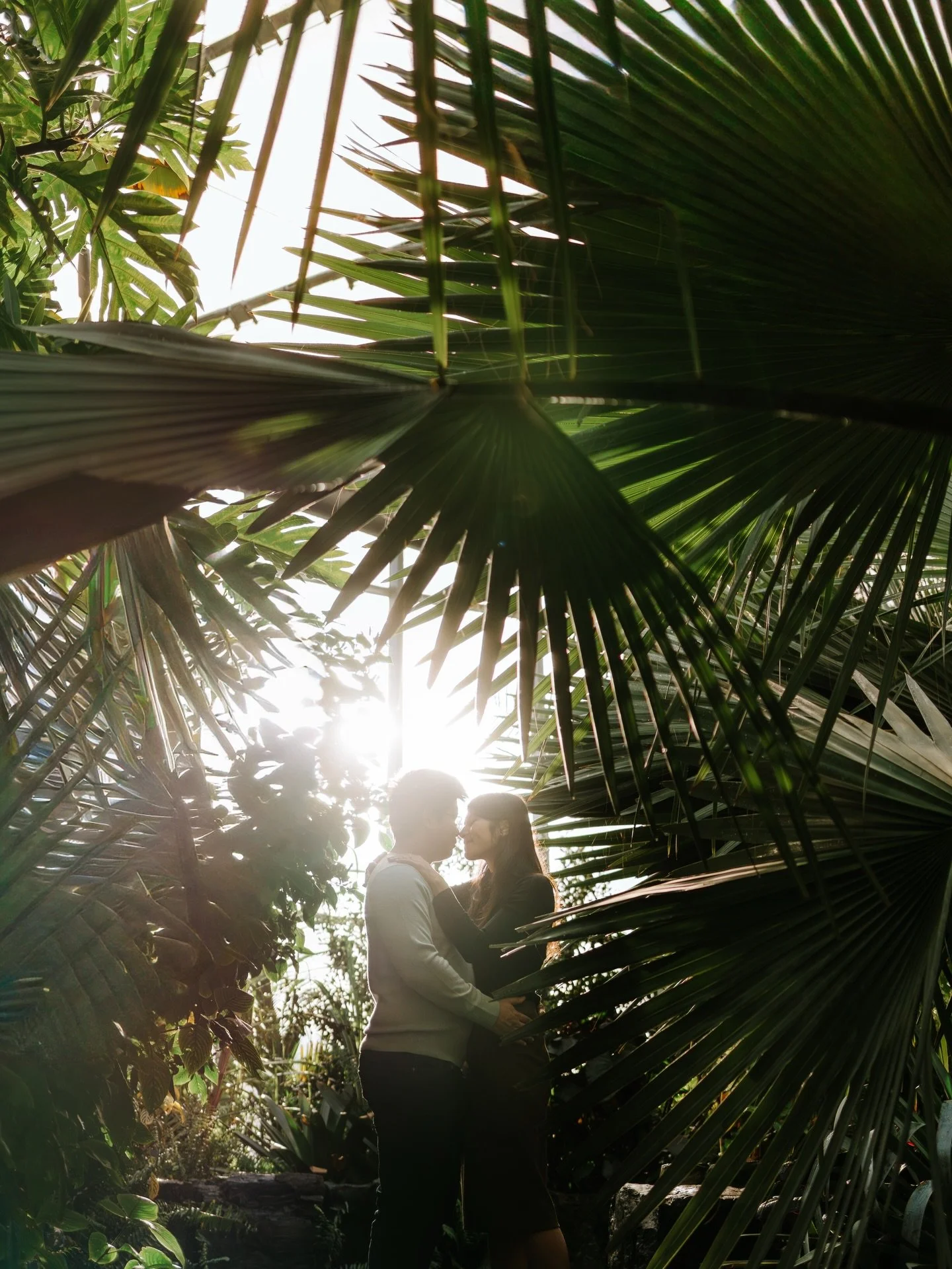 Some morning light magic at the leaf with Anthony &amp; Samantha 🪄.

Now back to my editing cave again&hellip;.