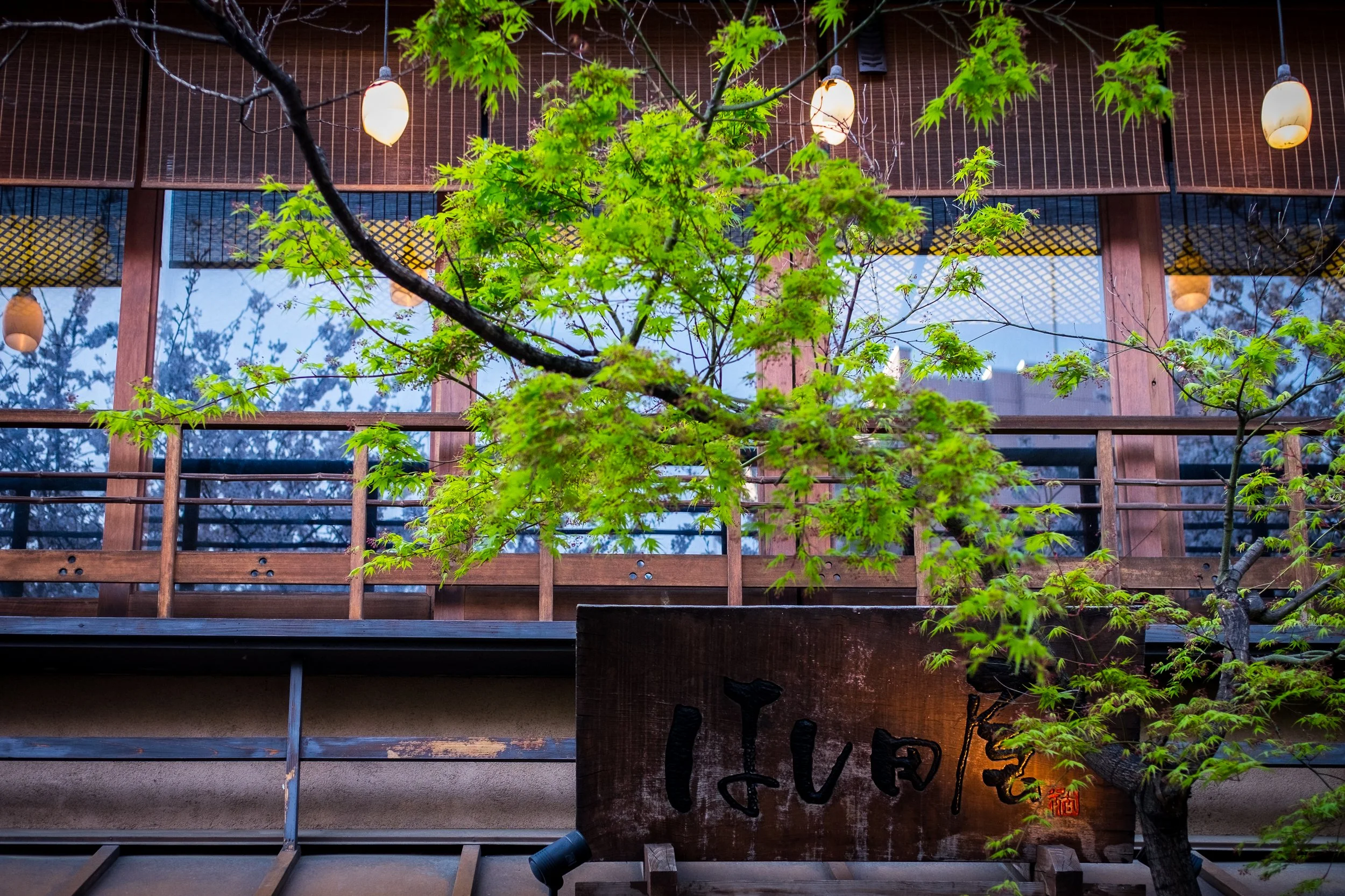 20190403-_DSF9462.jpg (Copy)