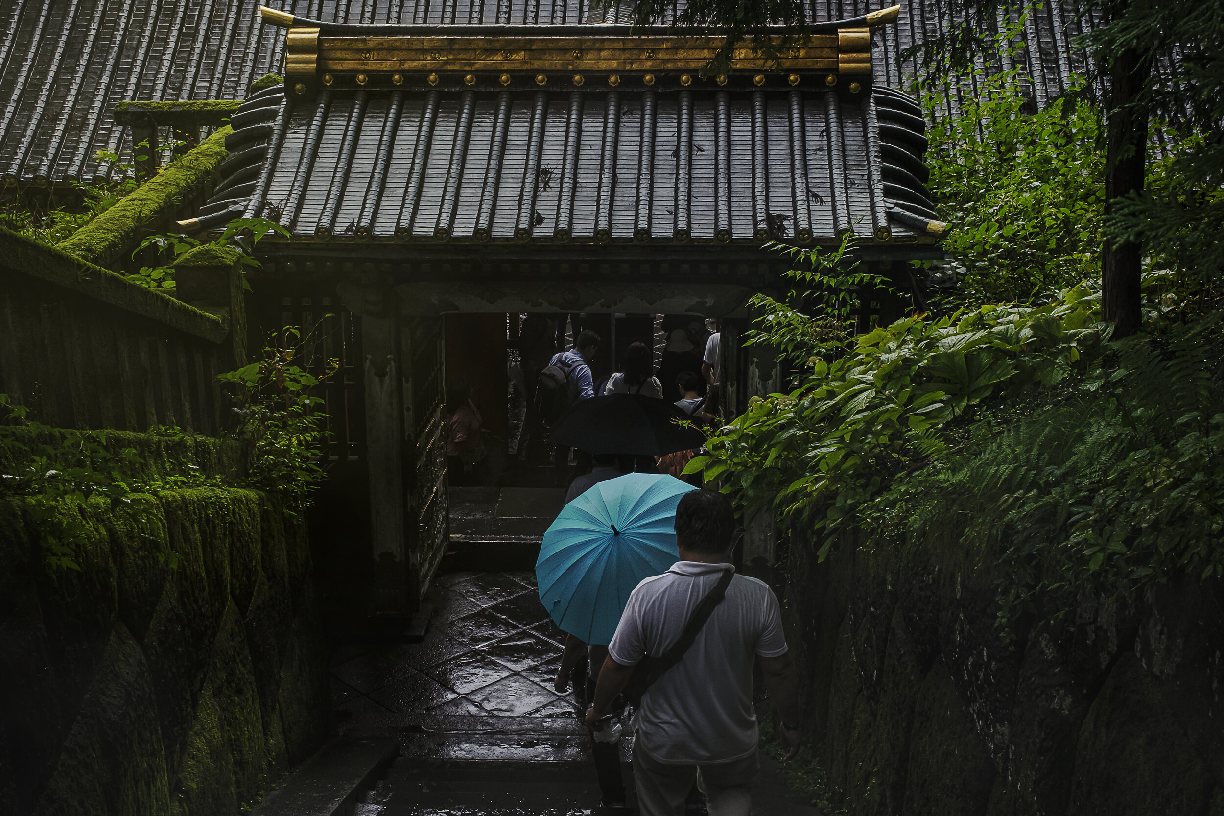 Vista de temple a Nikko amb paraigües blau