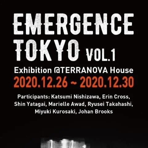 Exposició Emergence Tokyo a Terranova House (Yoyogi-Uehara)