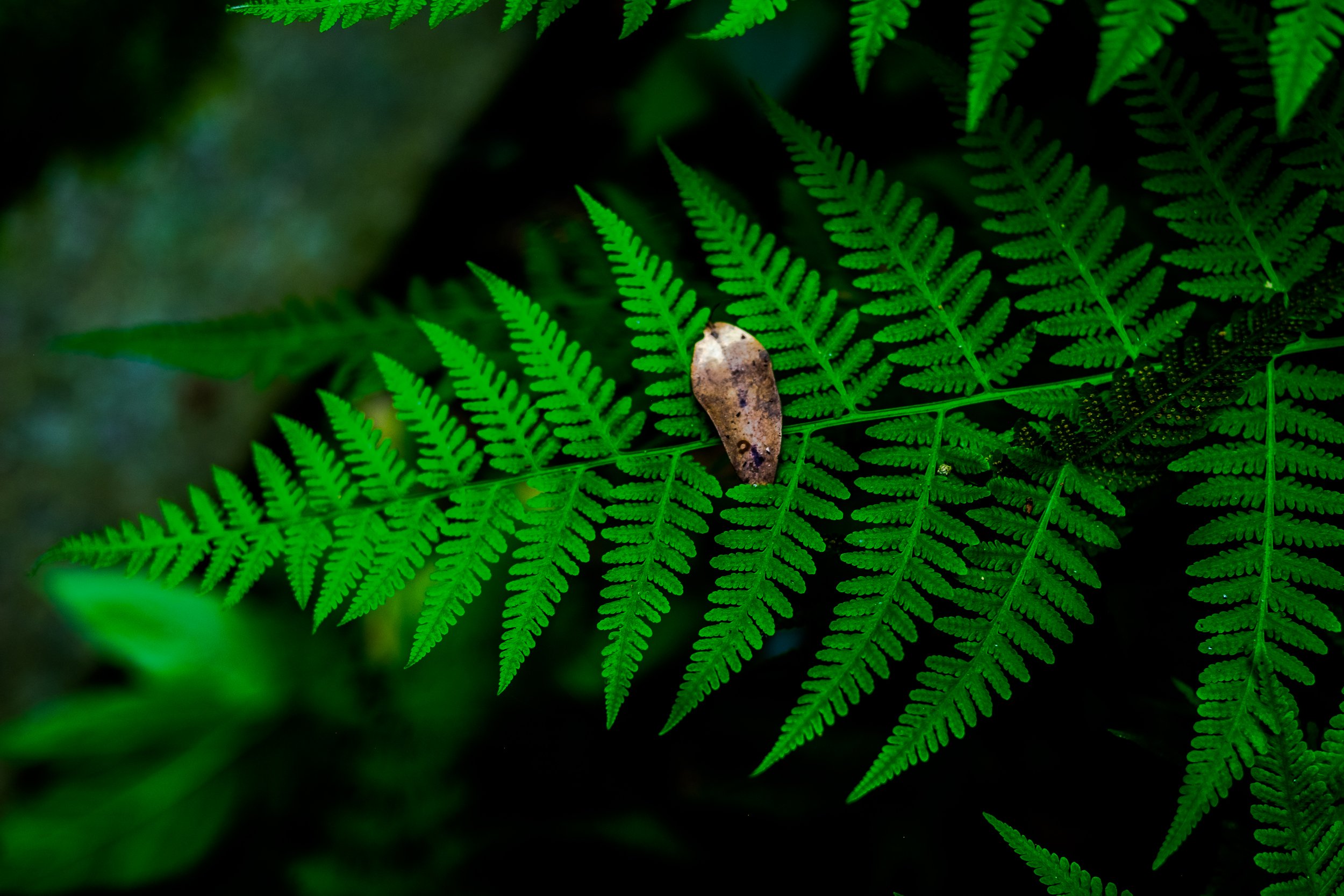 20200809-_DSF2552.jpg