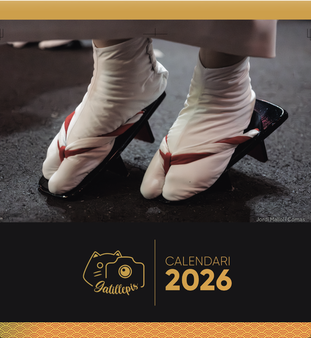 Calendari gran color 2026 coberta.png