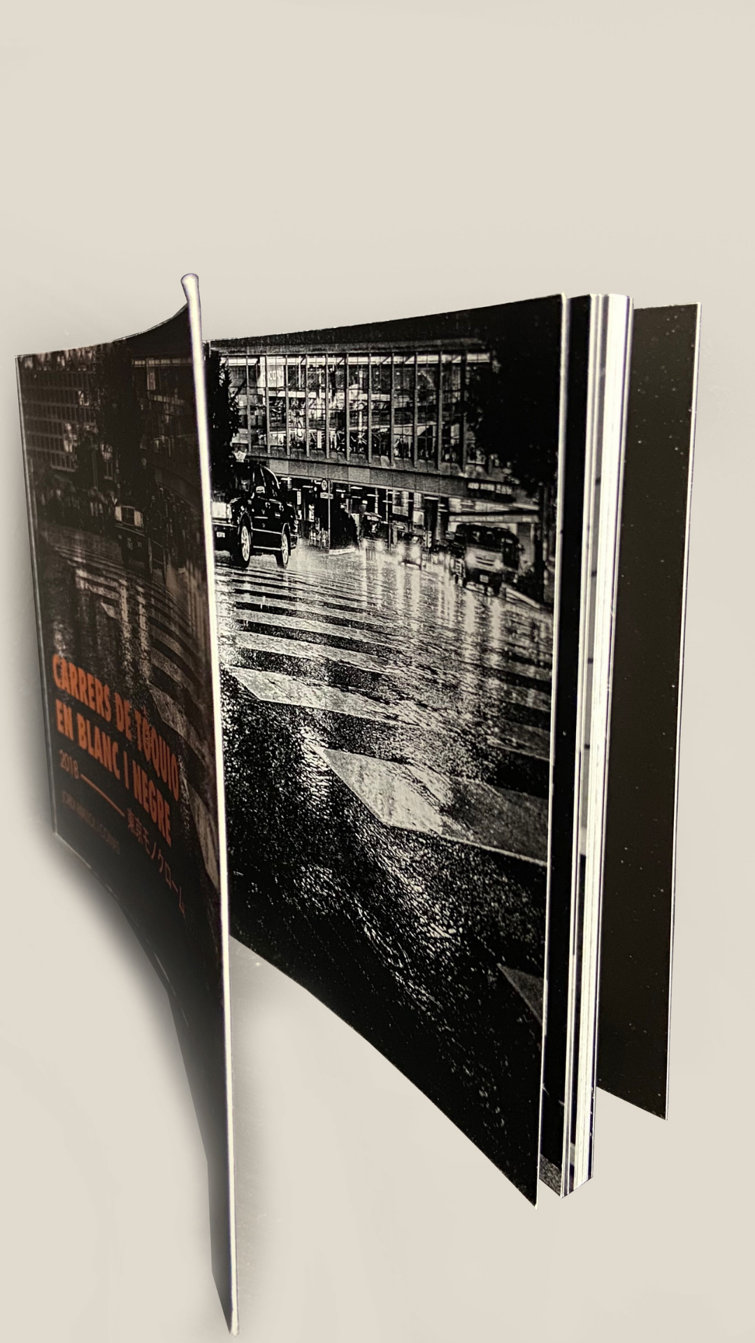 Llibre per a Story IG1.png