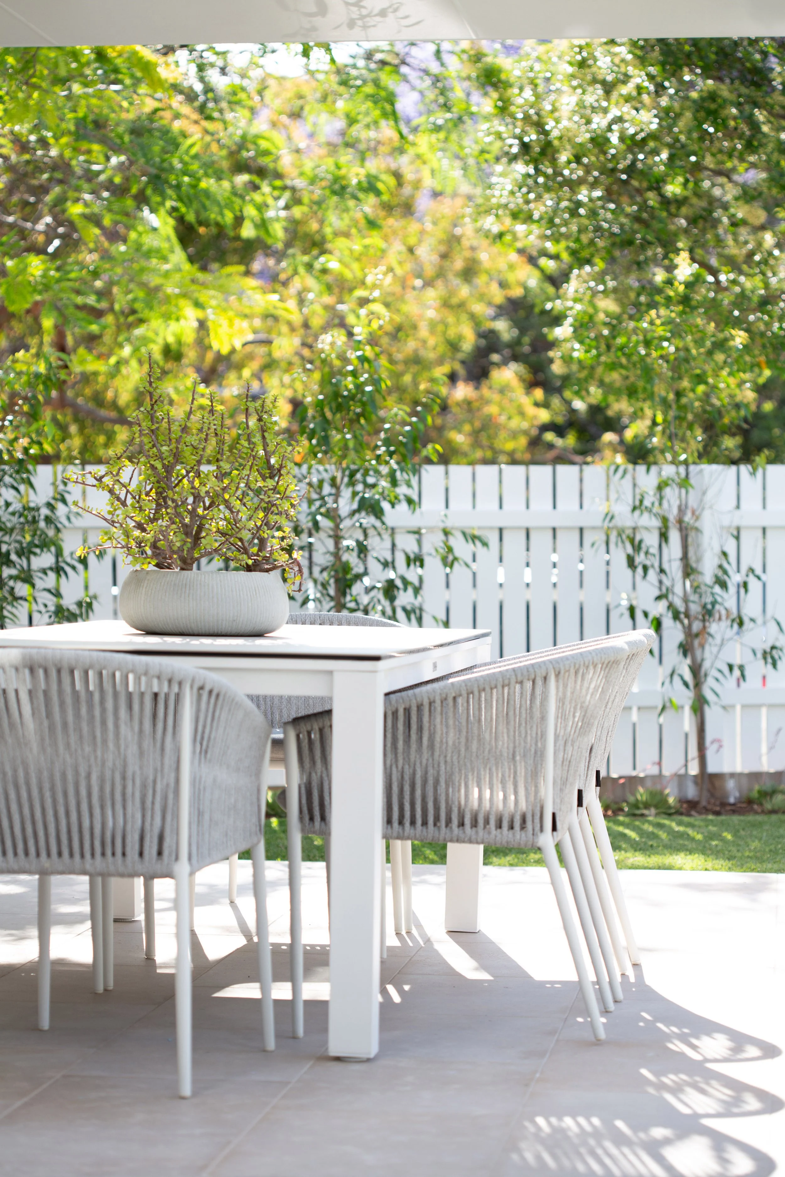 RANDWICK HOUSE 2025-11-03-0950B-PRINT.jpg