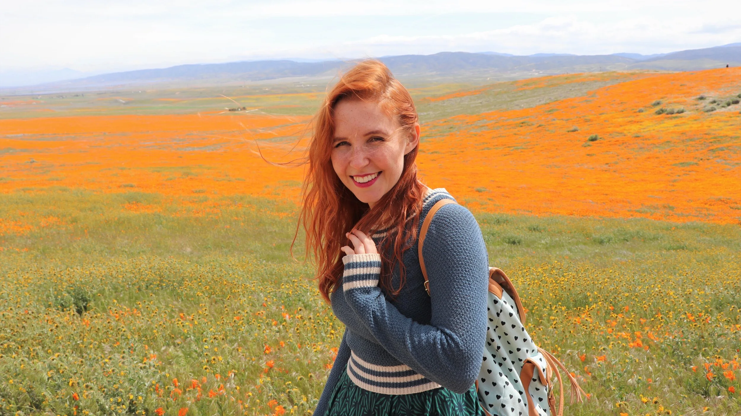 Amanda Charney california poppies
