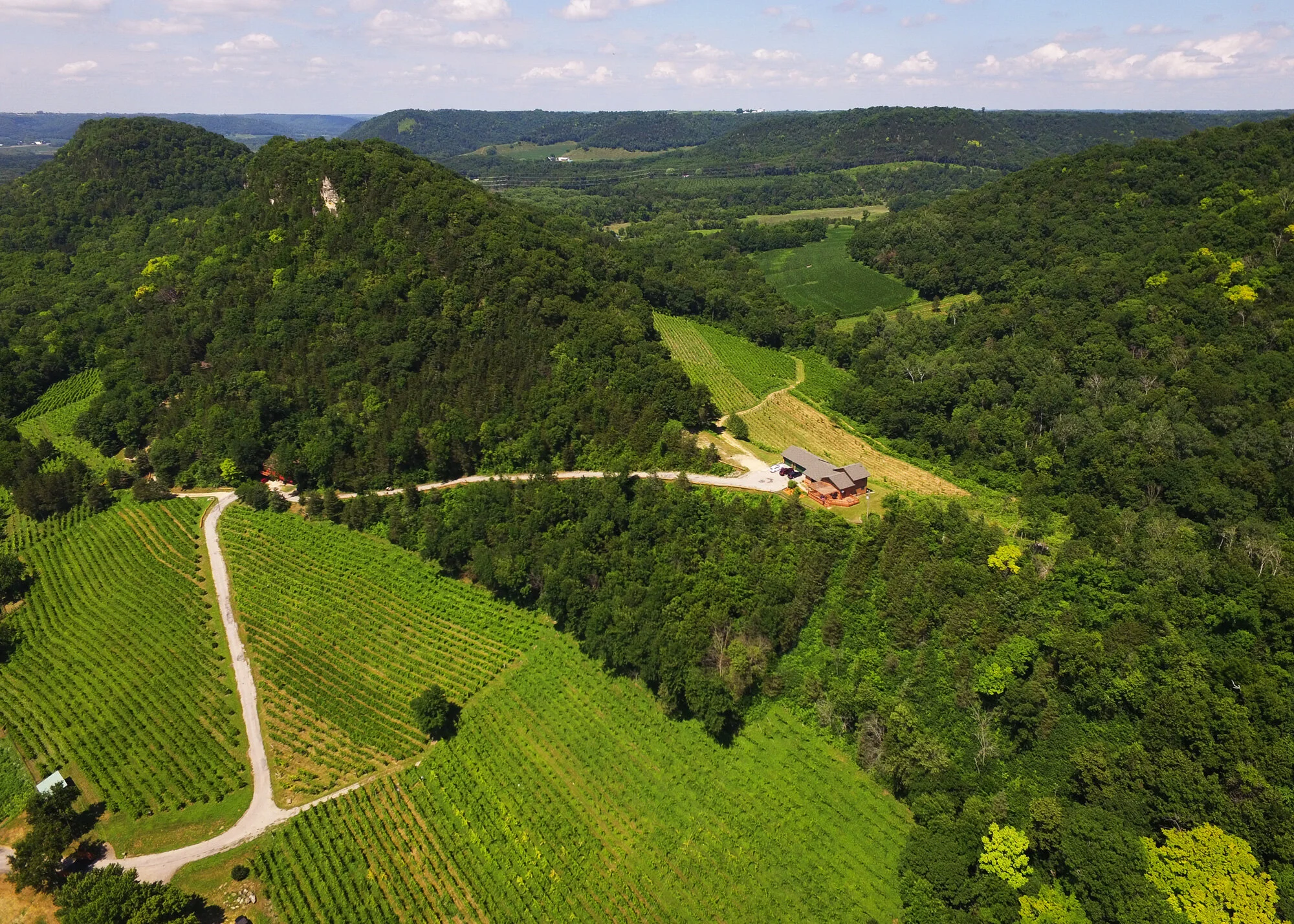 Seven Hawks Winery + Hawks View Cottages