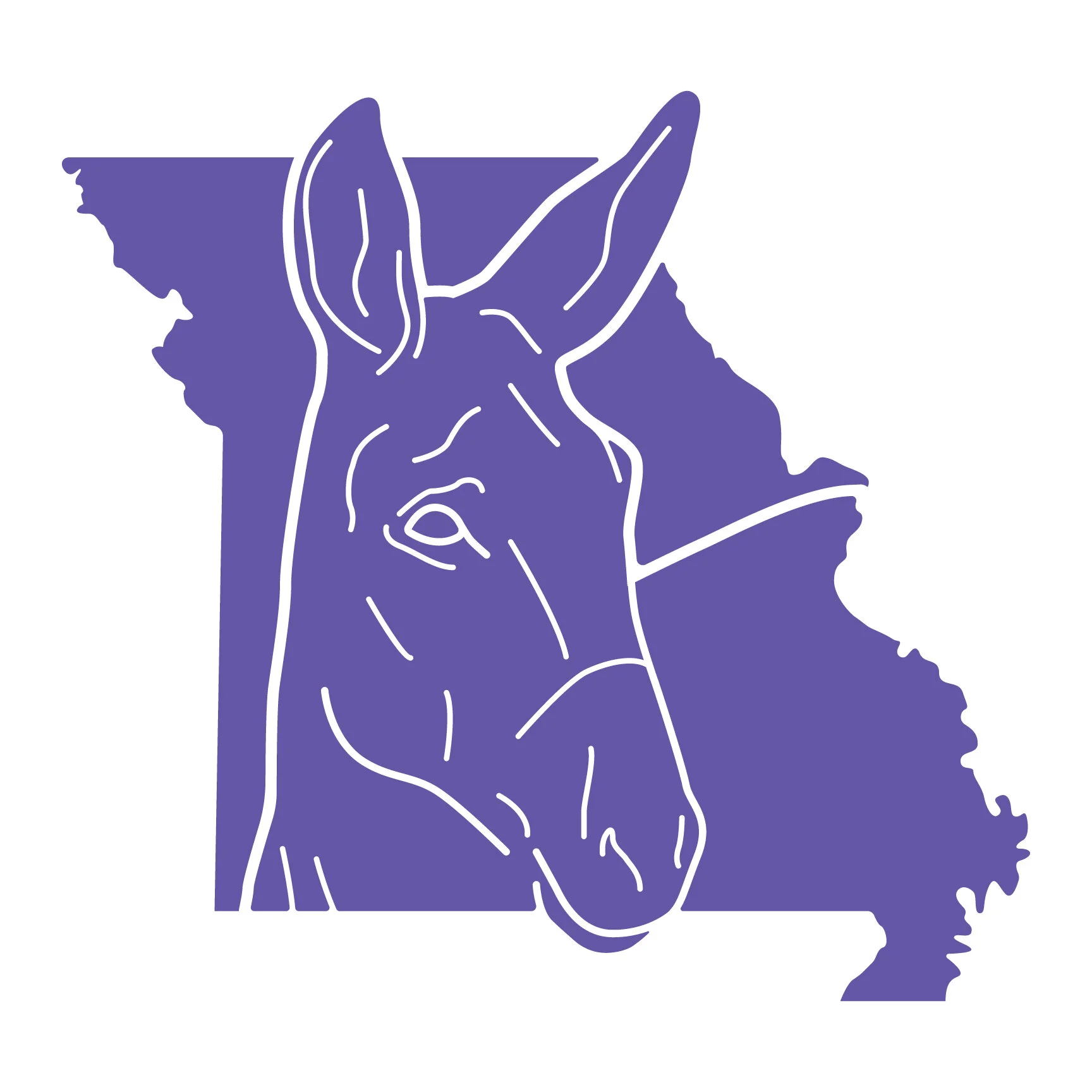 Missouri — Mule