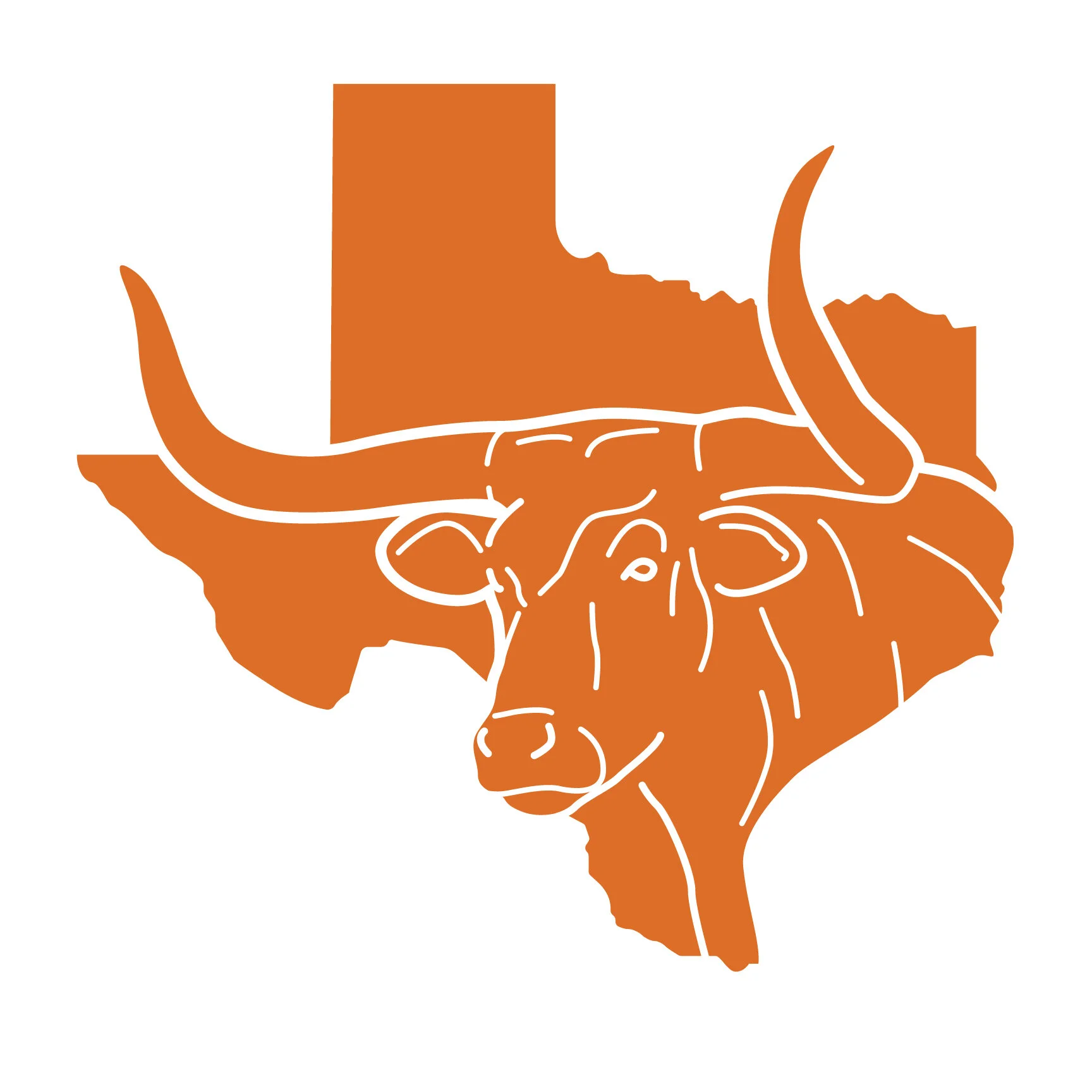 Texas — Longhorn Cattle