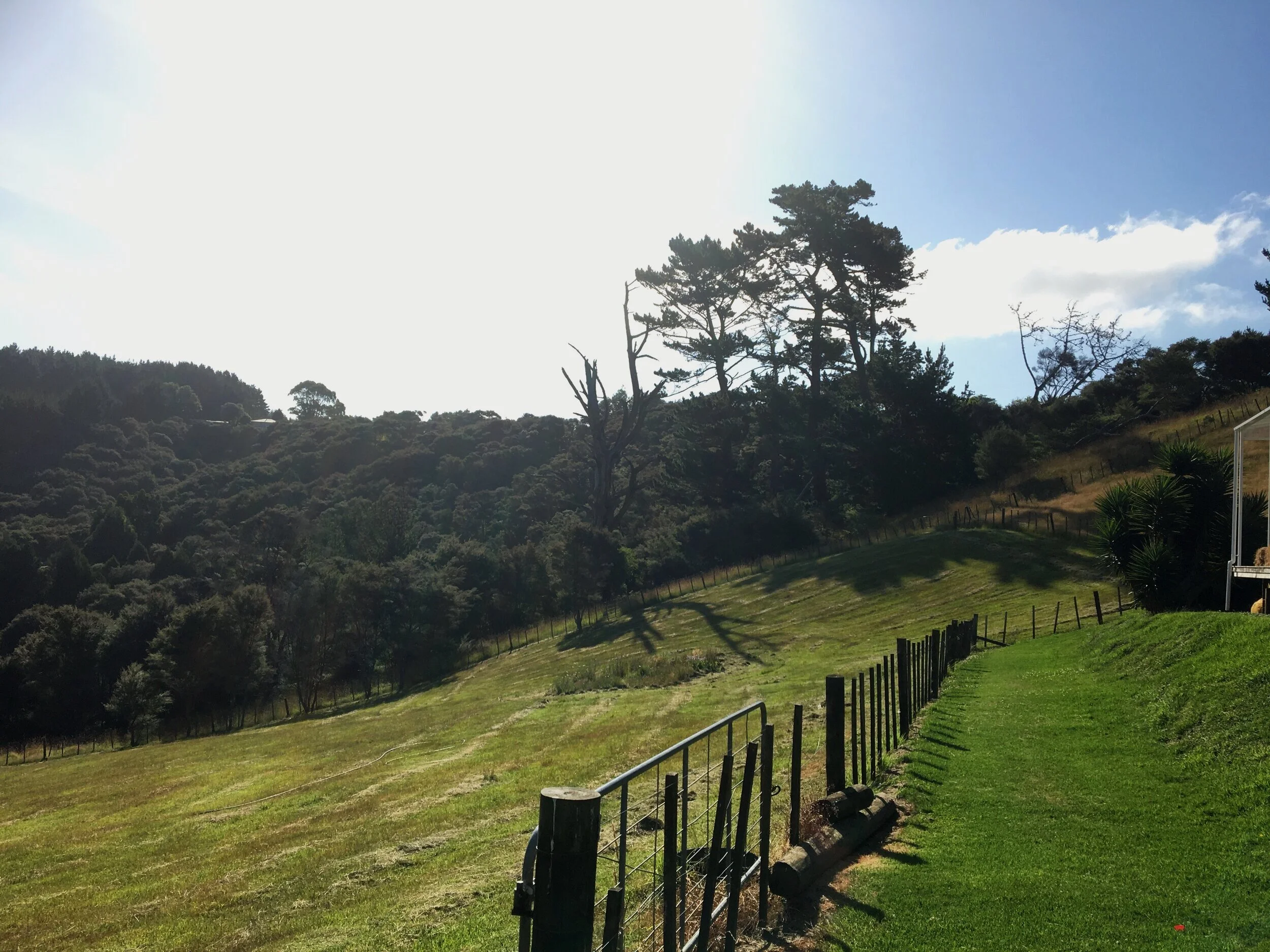 Lifestyle property mowing