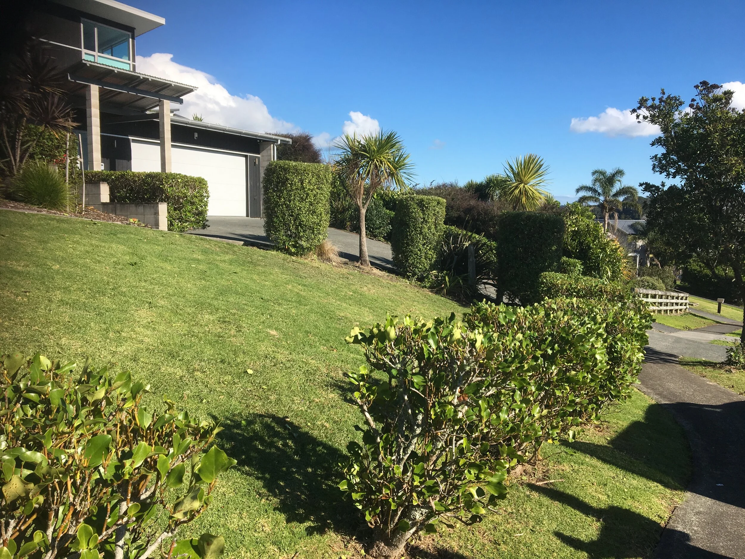 Residential Lawn Mowing