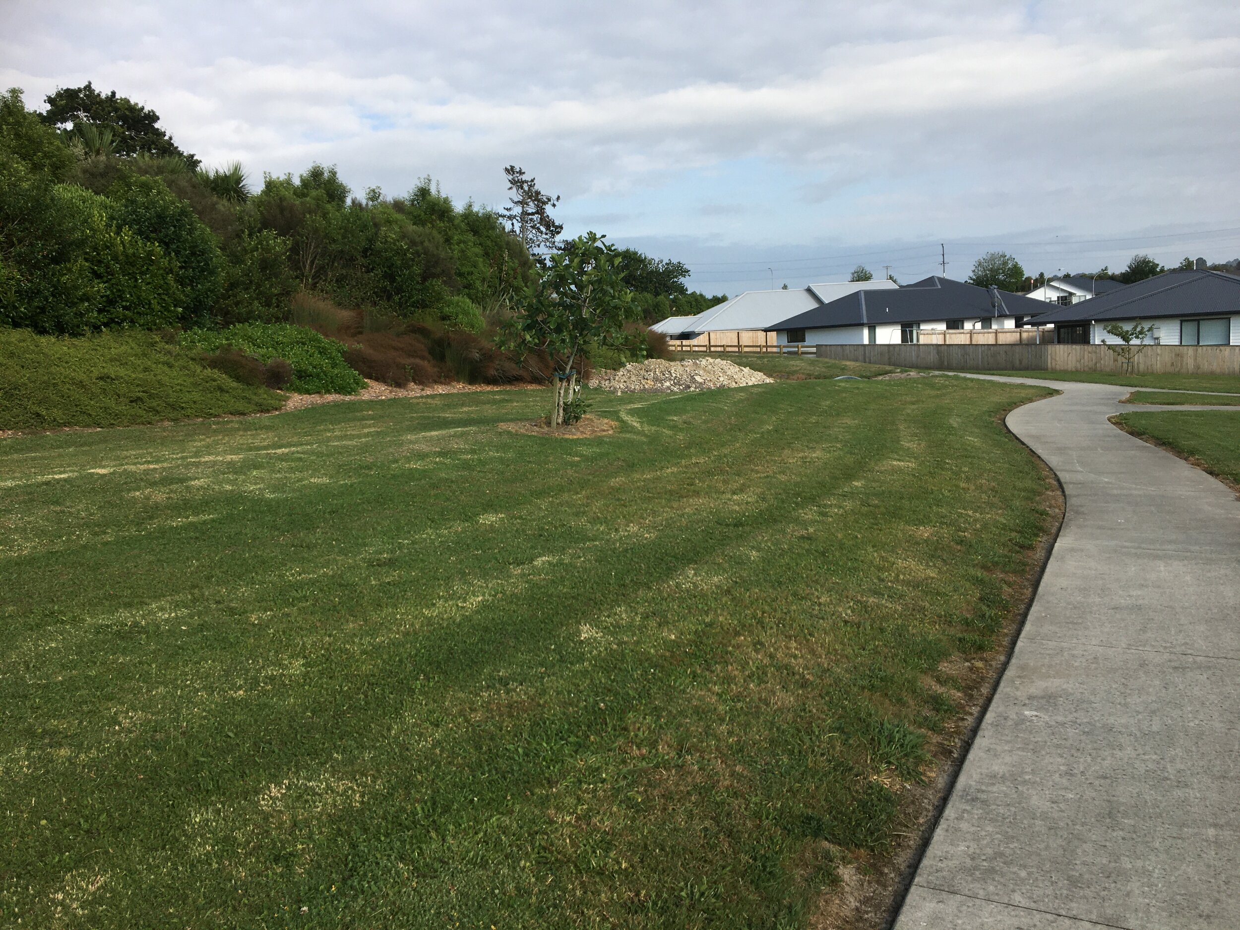 Commercial Lawn Mowing