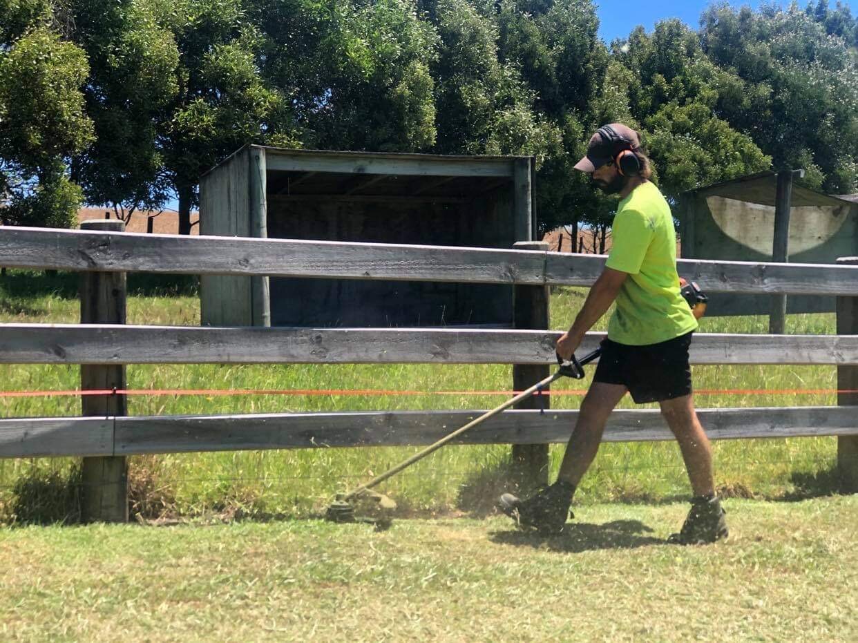 Weedeating, Weedspraying