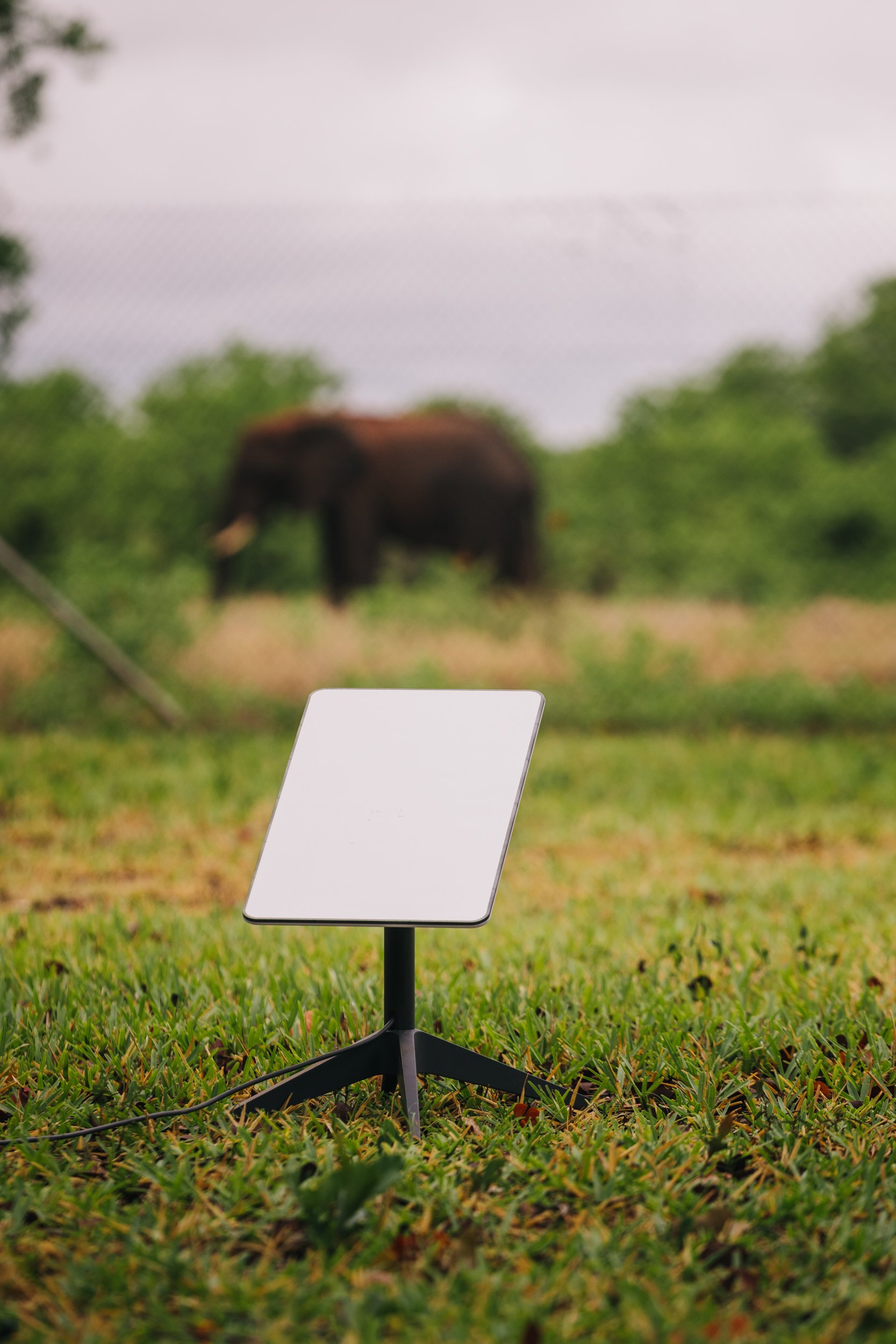 ECO DEFENSE GROUP IS FIRST TO DEPLOY STARLINK TO AFRICA