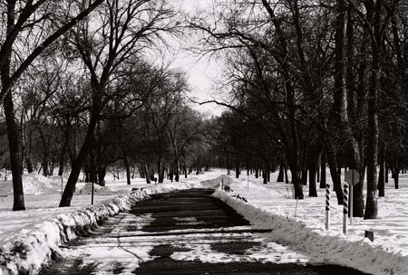 Snowy road.jpg