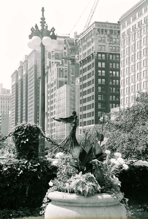 Chicago Angel.jpg