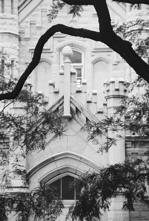 Detail 4.jpg