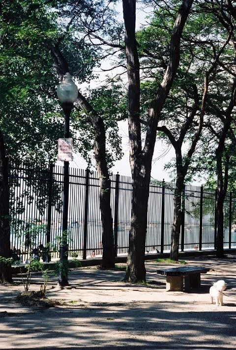Fenced Beach.jpg