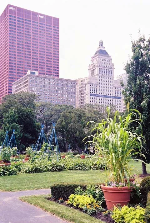 Park in the City.jpg