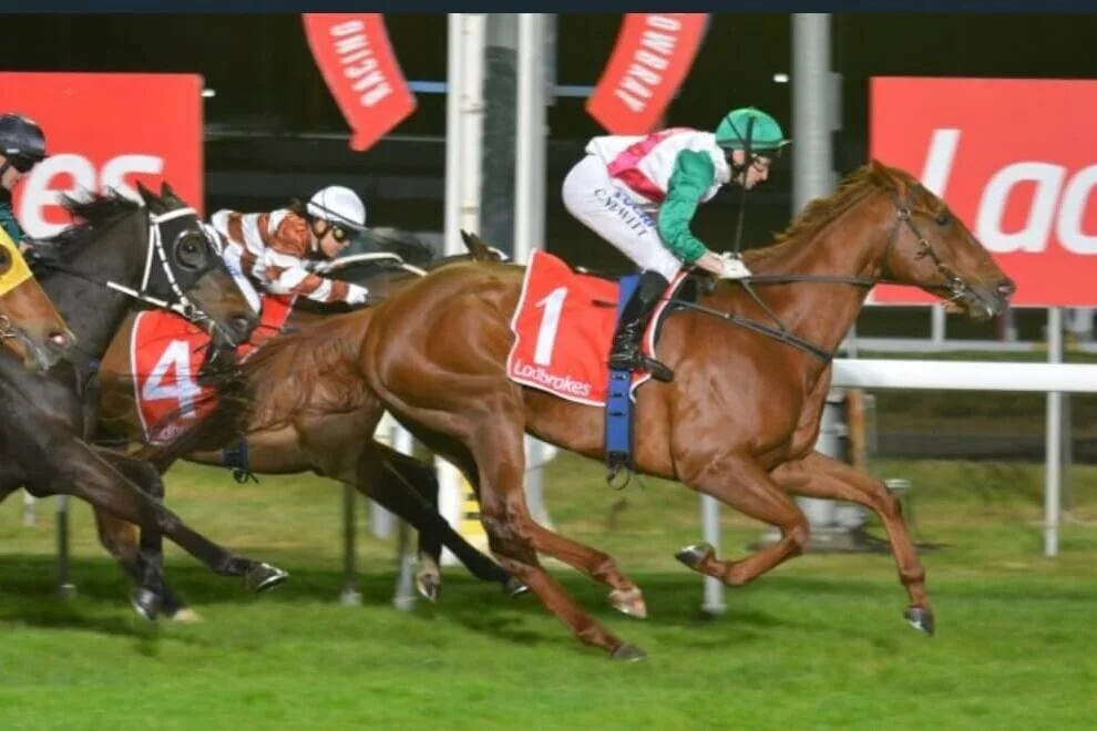 Horse Racing Tasmania