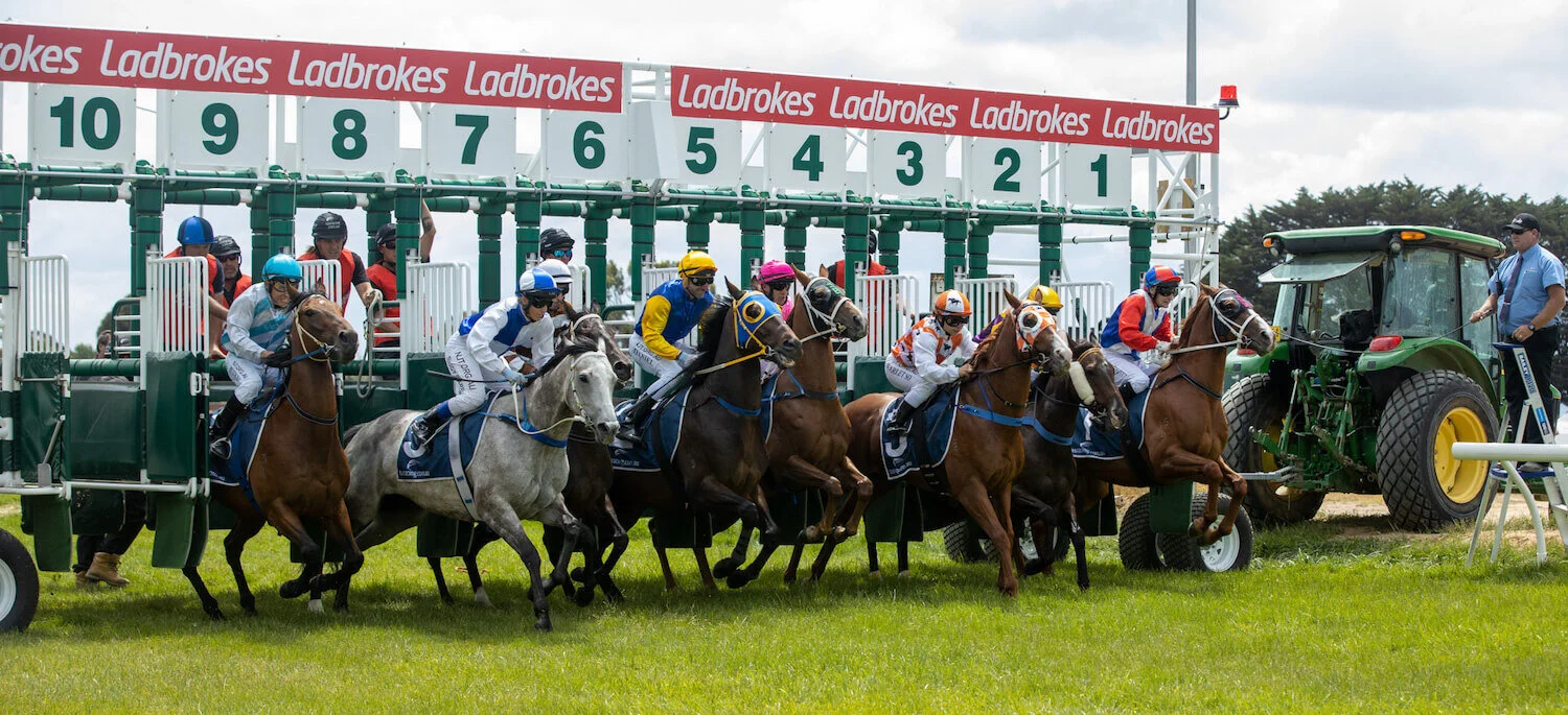 thoroughbred racing tasmania