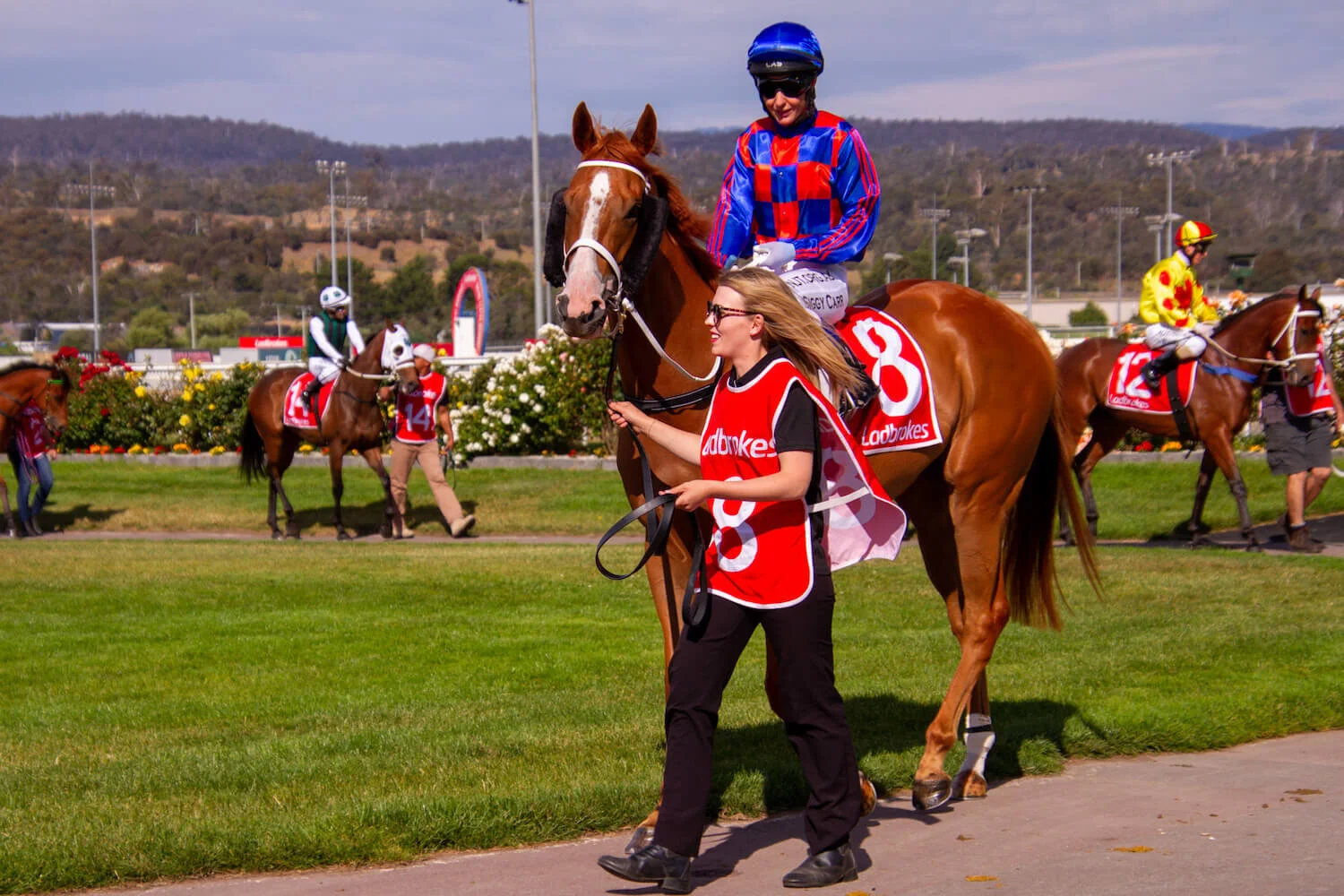 horse racing tasmania