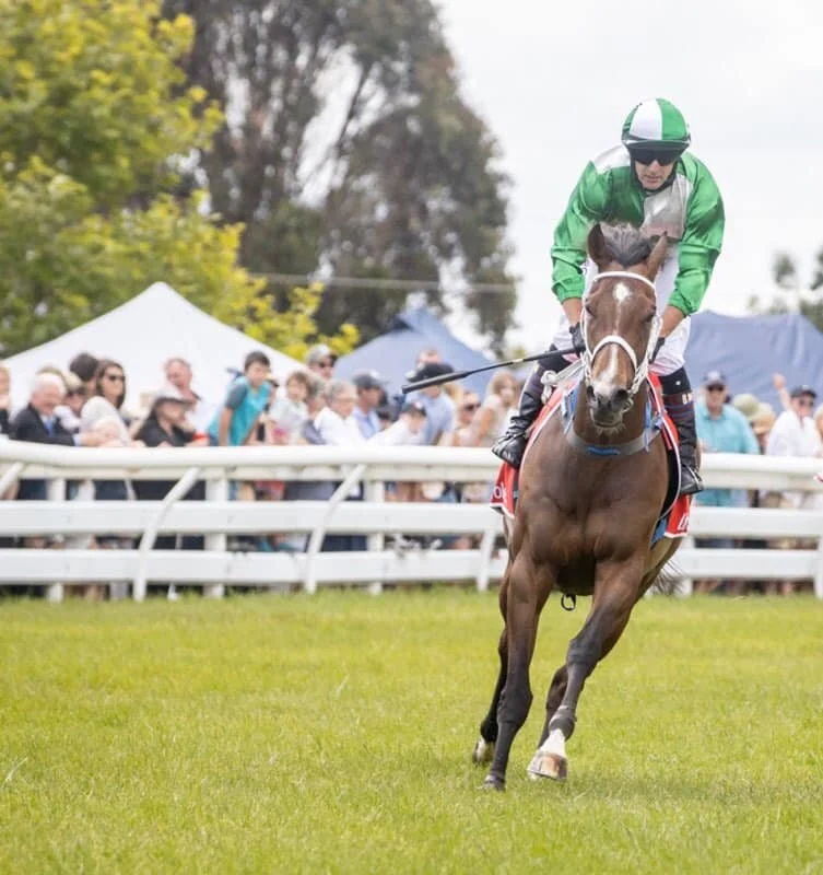 Triple Strip Wins the Longford Cup! 