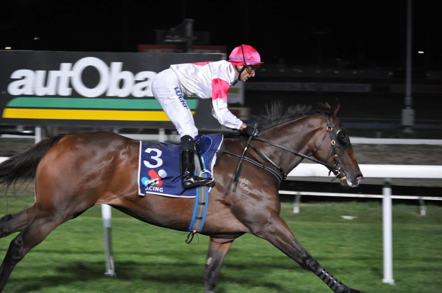 Zatacla (B McCoull) 16-3-18 (3).jpg