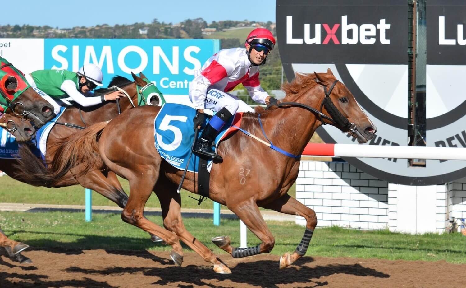 Thoroughbred racing tasmania
