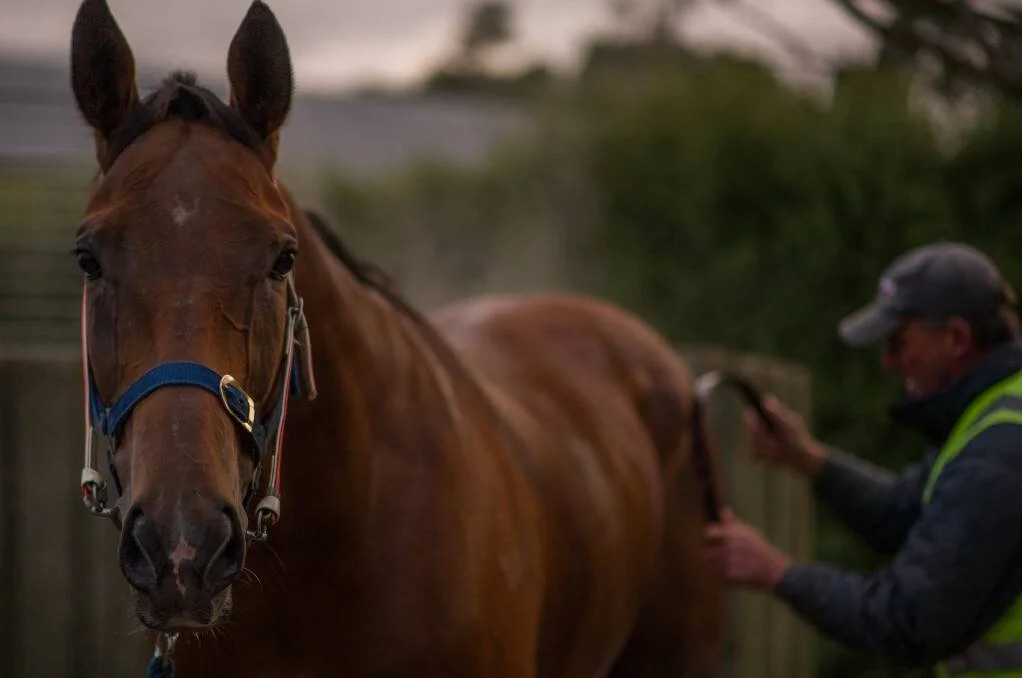 Smoke n Whiskey 2.jpg