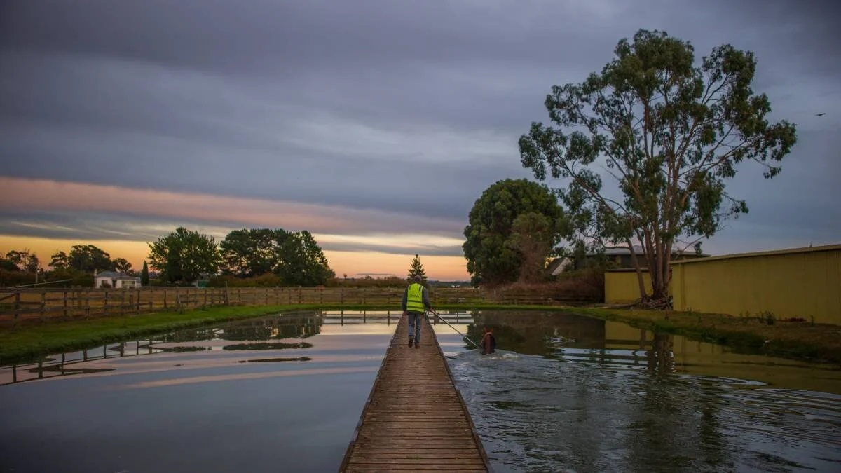 From the Archives: Smoke ‘n' Whisky | Launceston Cup