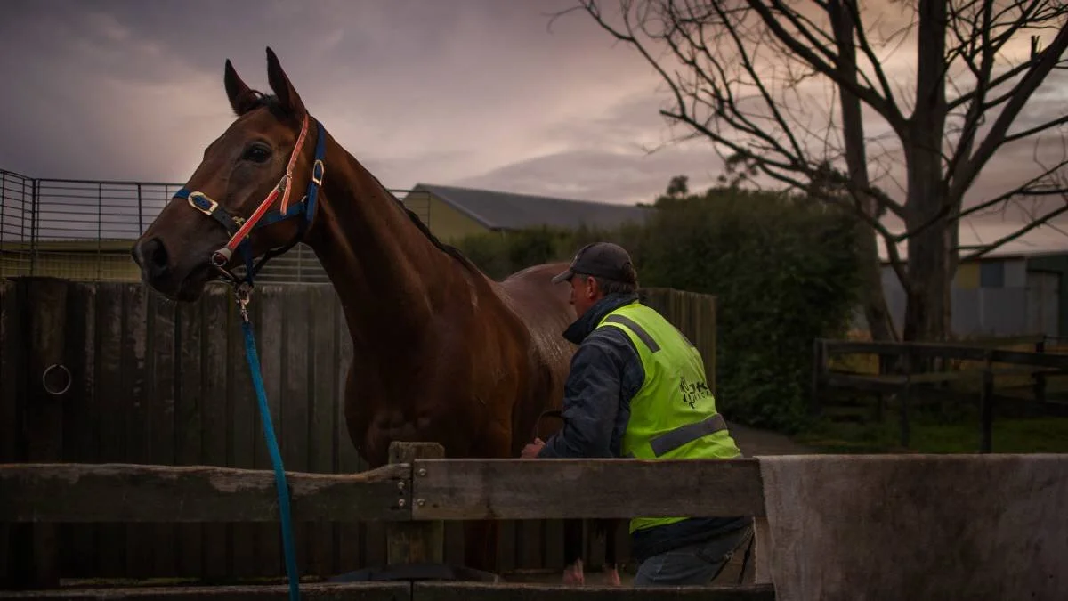 Smoke n whiskey 4.jpg