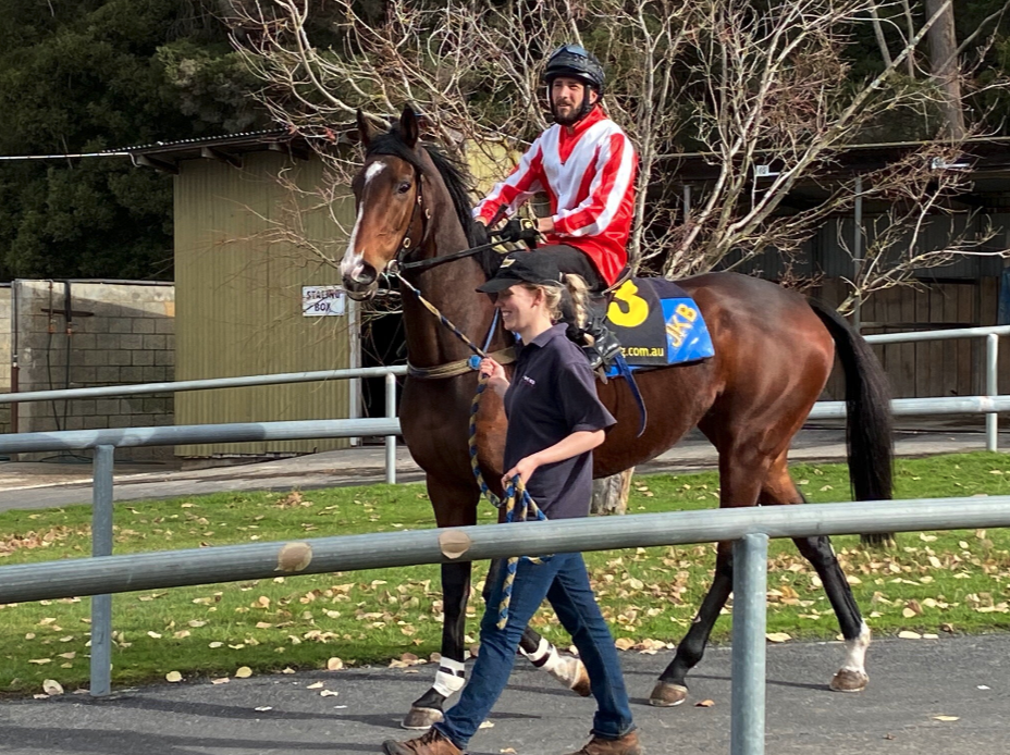 Screen Shot 2020-06-03 at 9.08.17 am.png